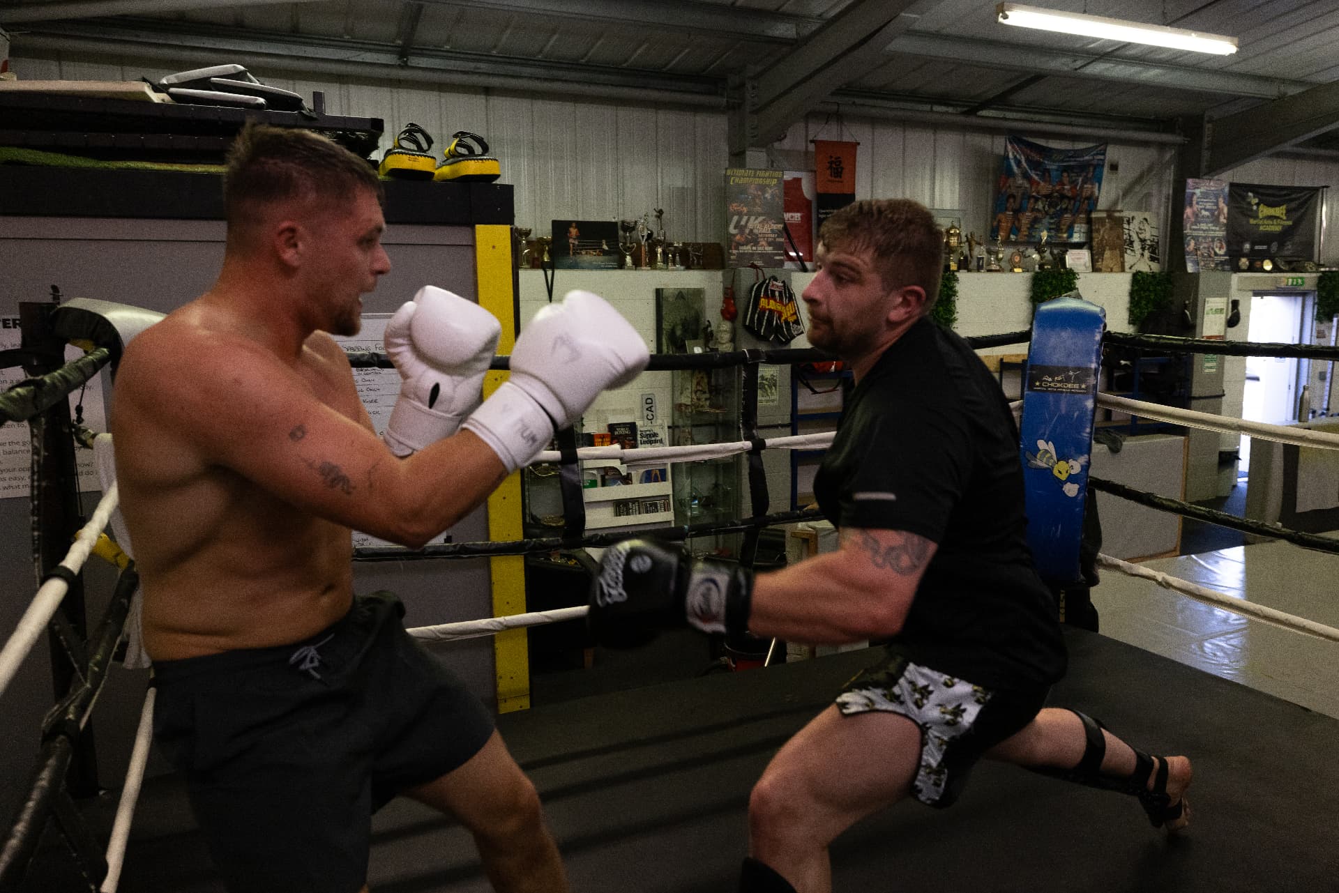 Two members squaring up in high guard during boxing sparring